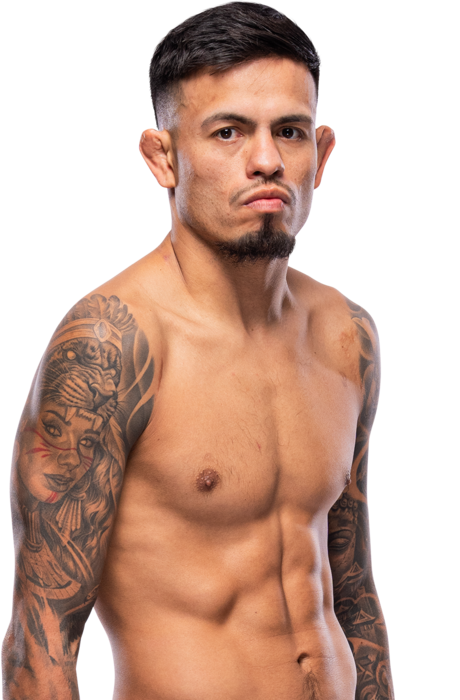Brandon Royval, UFC flyweight fighter