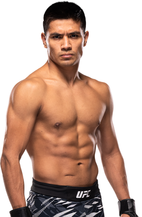 David Martinez, UFC bantamweight fighter