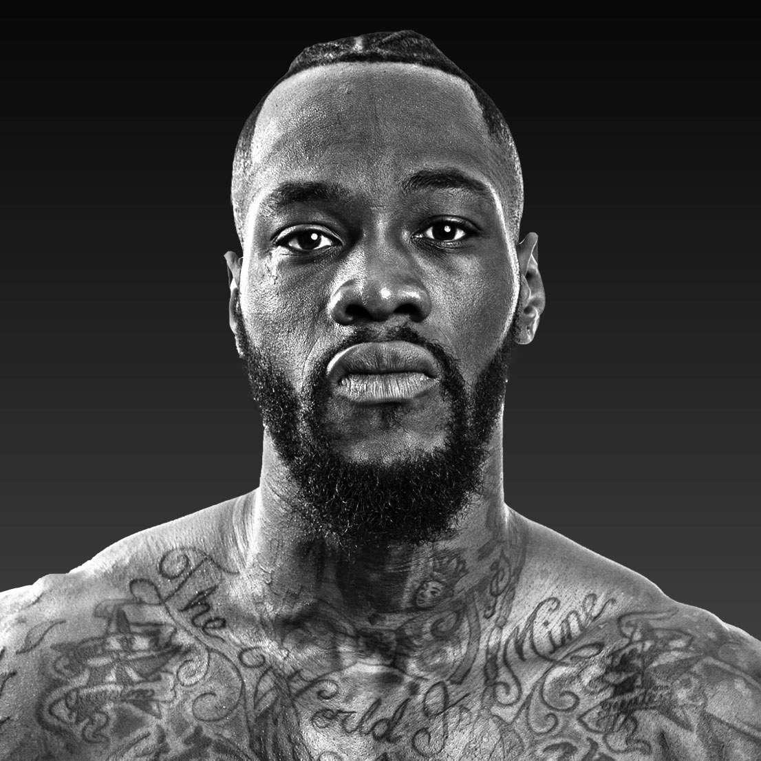 Deontay Wilder, Boxing heavyweight fighter