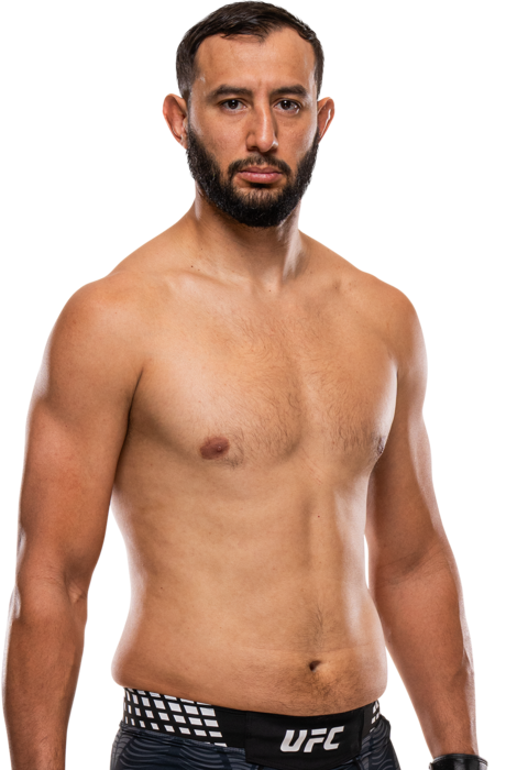 Dominick Reyes, UFC light heavyweight fighter