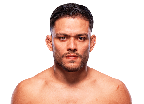 Elves Brener, UFC lightweight fighter