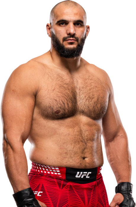 Javad Mahjoub, UFC heavyweight fighter