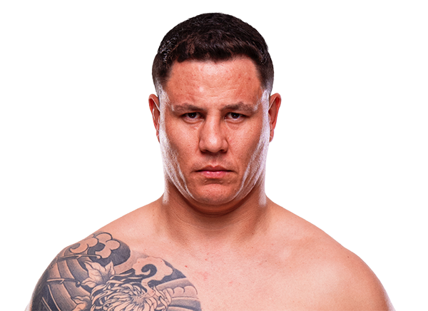 Jhonata Diniz, UFC heavyweight fighter