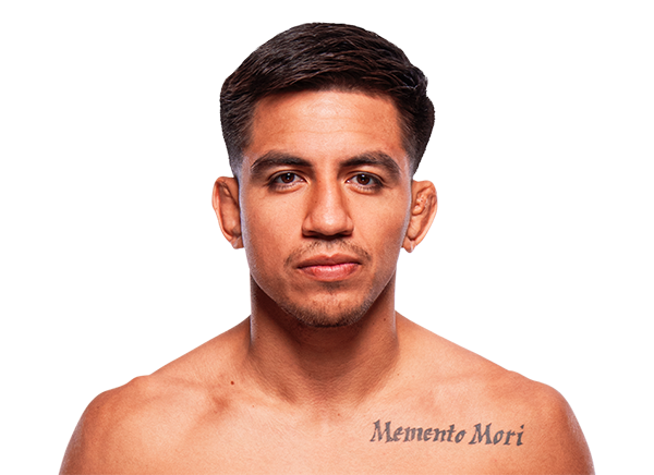 Jose Miguel Delgado, UFC featherweight fighter