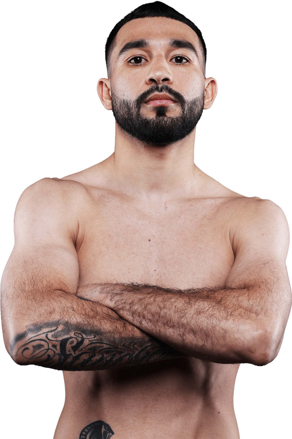 Jose Tito Sanchez, Boxing super bantamweight fighter