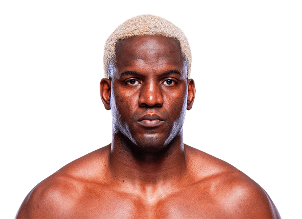 Robelis Despaigne, UFC heavyweight fighter