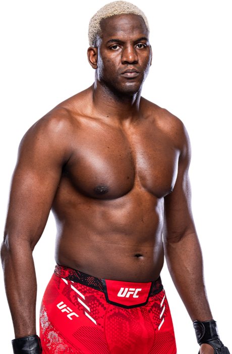 Robelis Despaigne, UFC heavyweight fighter