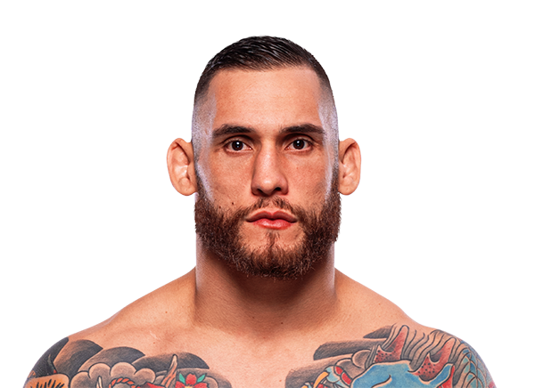 Rodolfo Bellato, UFC light heavyweight fighter
